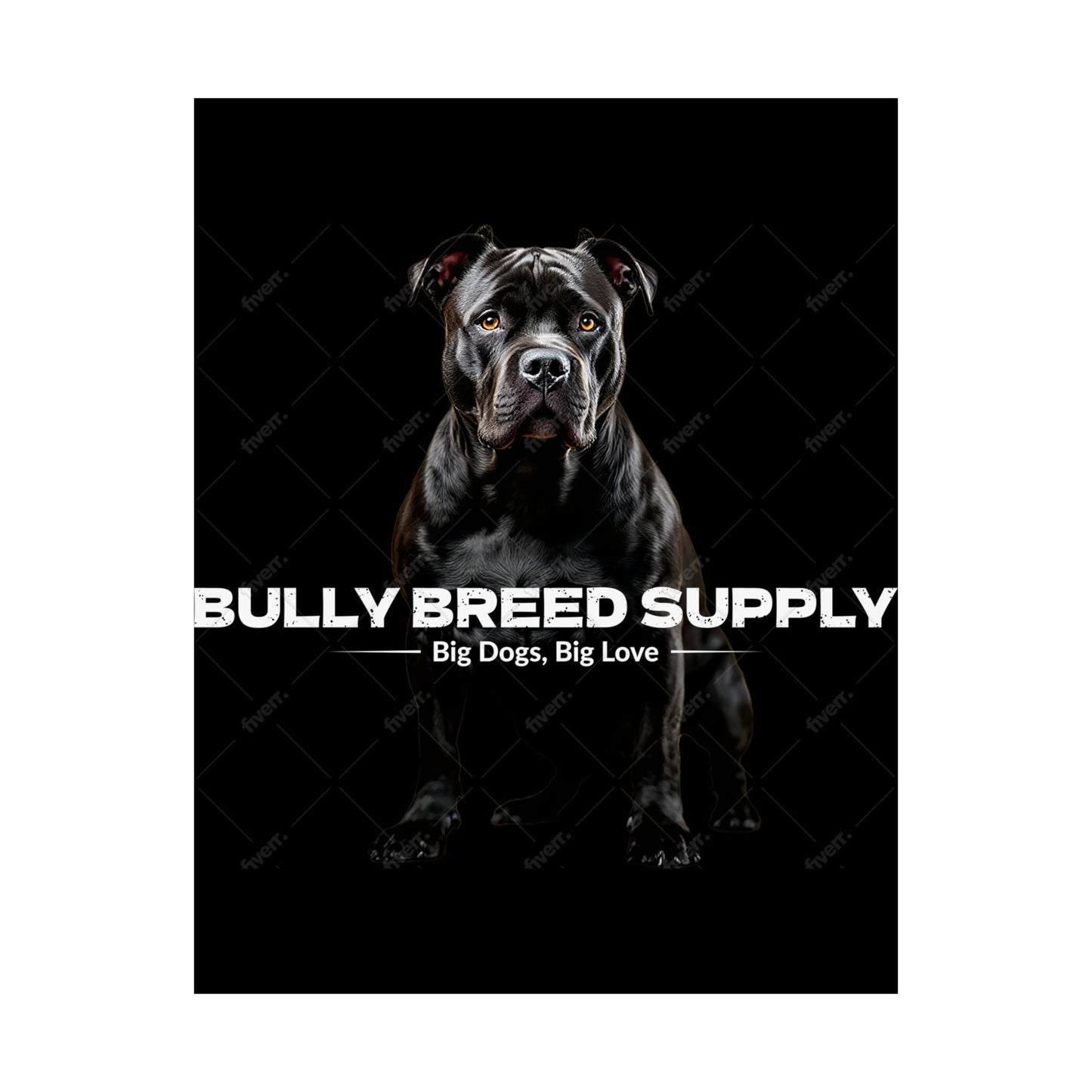 Satin Posters (210gsm)