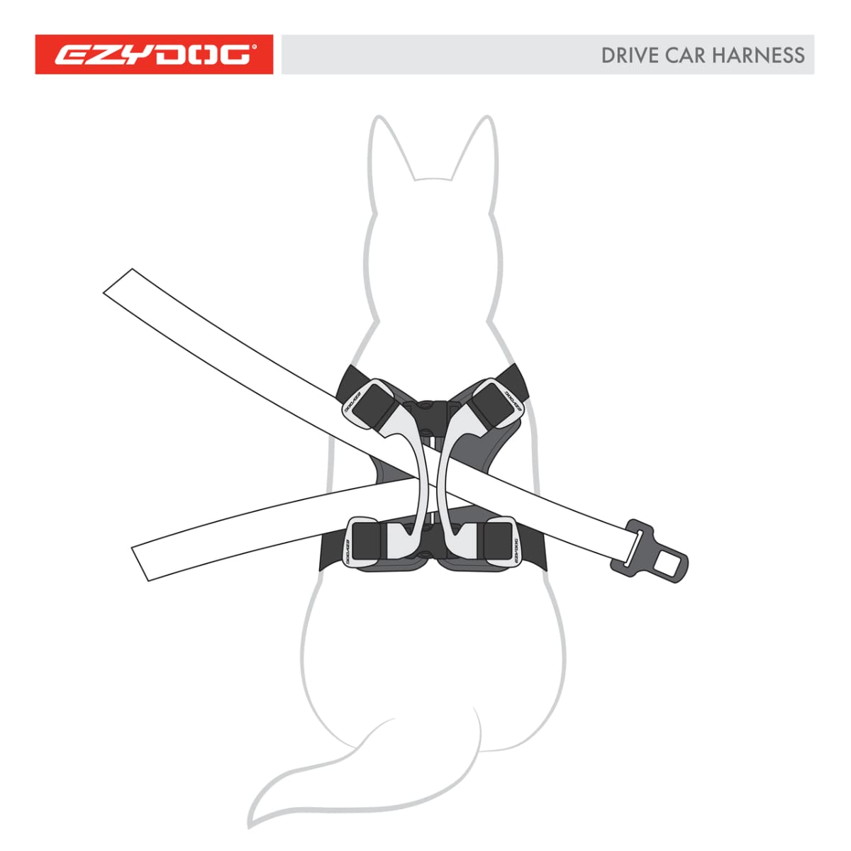 EzyDog Drive Crash-Tested Car Harness – Certified Safety for Large Dogs