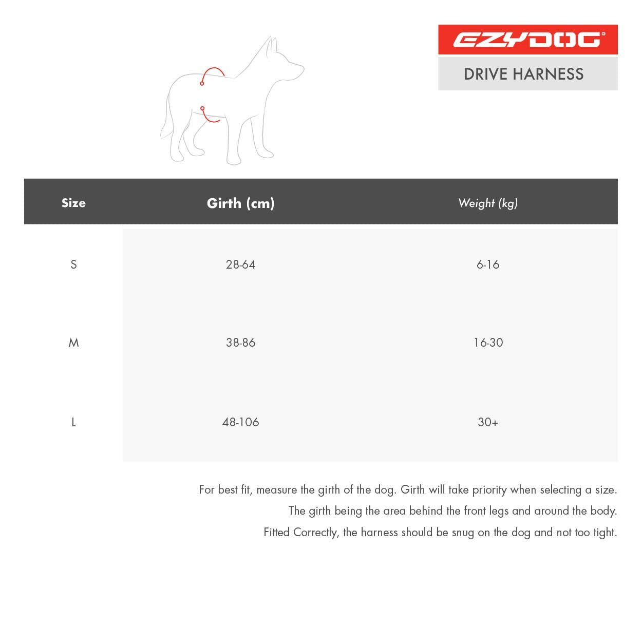 EzyDog Drive Crash-Tested Car Harness – Certified Safety for Large Dogs