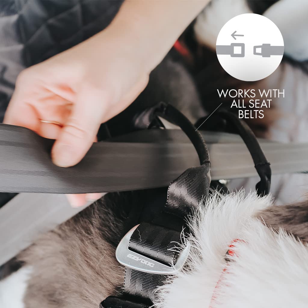 EzyDog Drive Crash-Tested Car Harness – Certified Safety for Large Dogs
