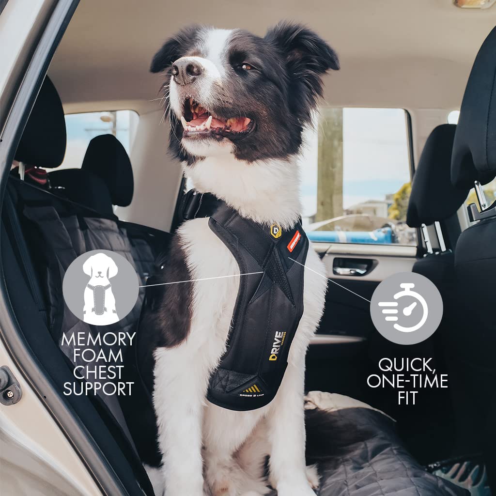 EzyDog Drive Crash-Tested Car Harness – Certified Safety for Large Dogs