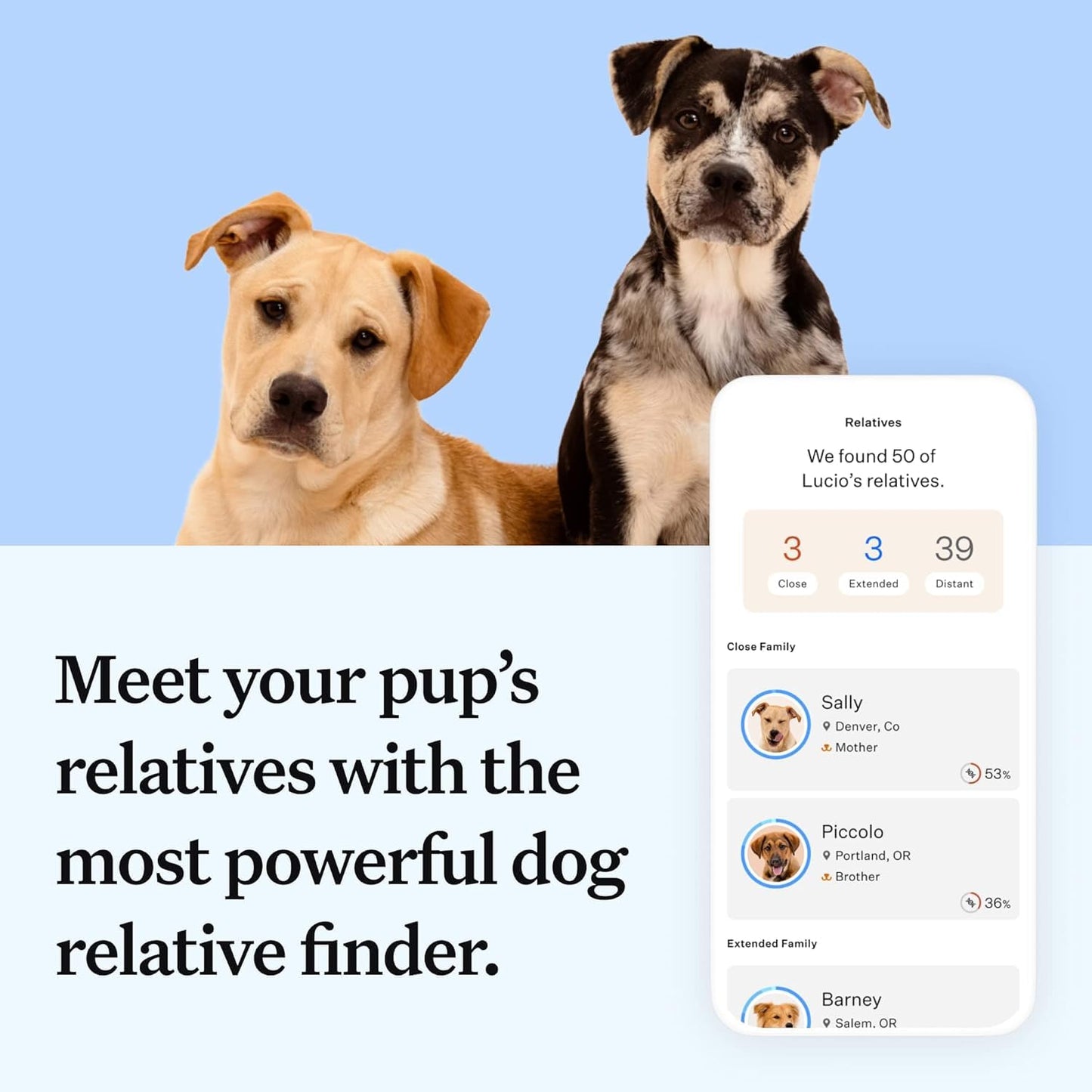 Wisdom Panel Essential Dog DNA Kit – Breed + Health Insights in One Test