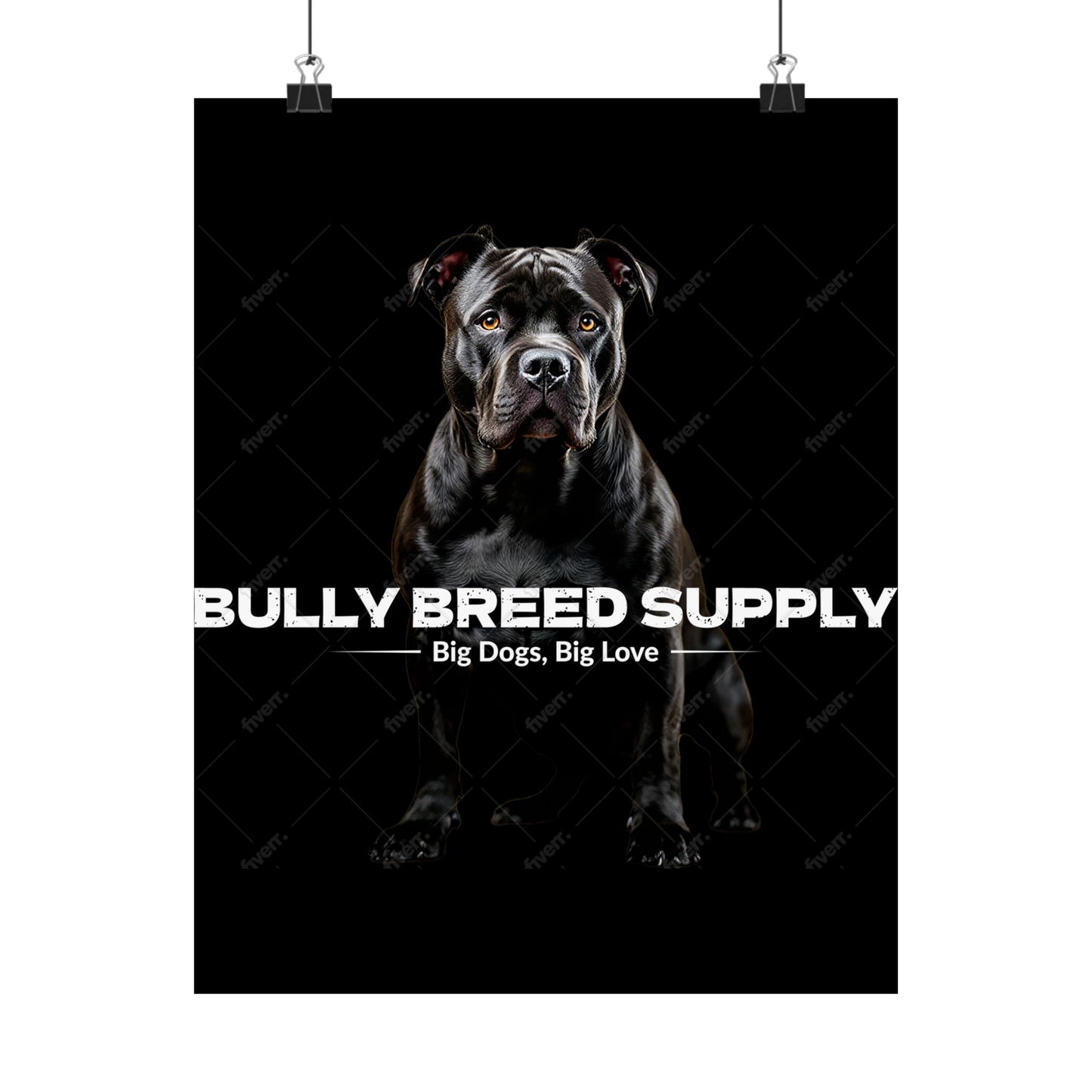 Satin Posters (210gsm)