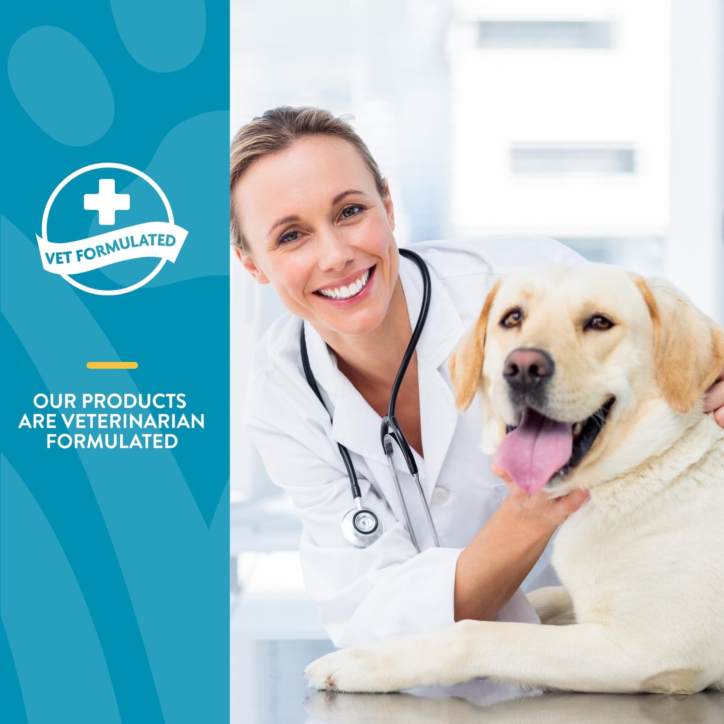 NaturVet Quiet Moments Calming Aid – Stress Support for Anxious Dogs