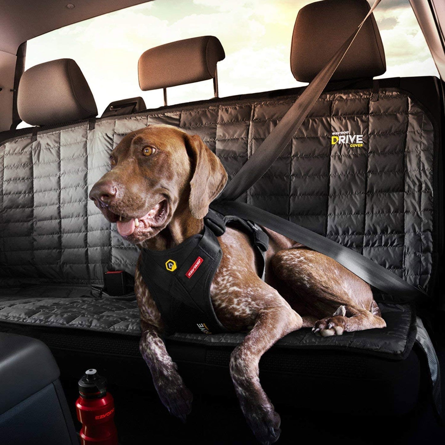 EzyDog Drive Crash-Tested Car Harness – Certified Safety for Large Dogs