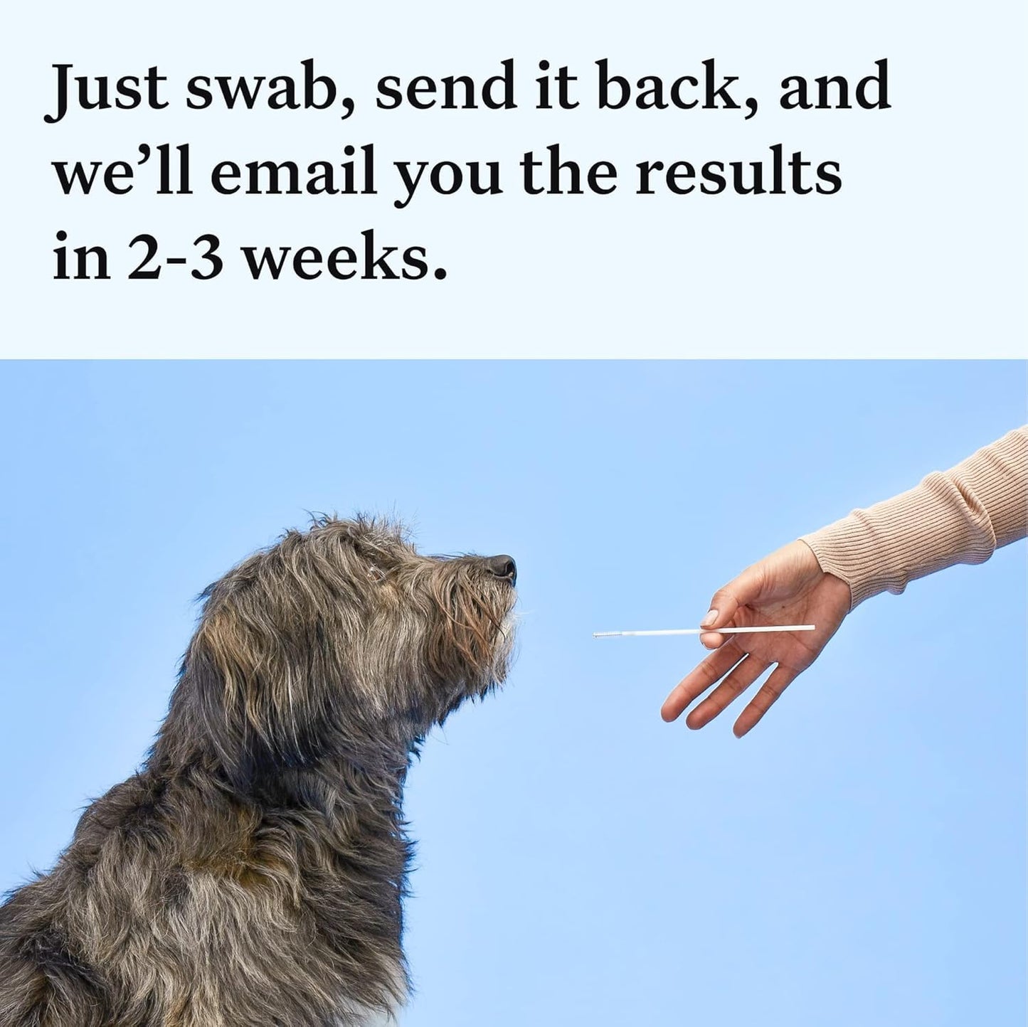 Wisdom Panel Essential Dog DNA Kit – Breed + Health Insights in One Test