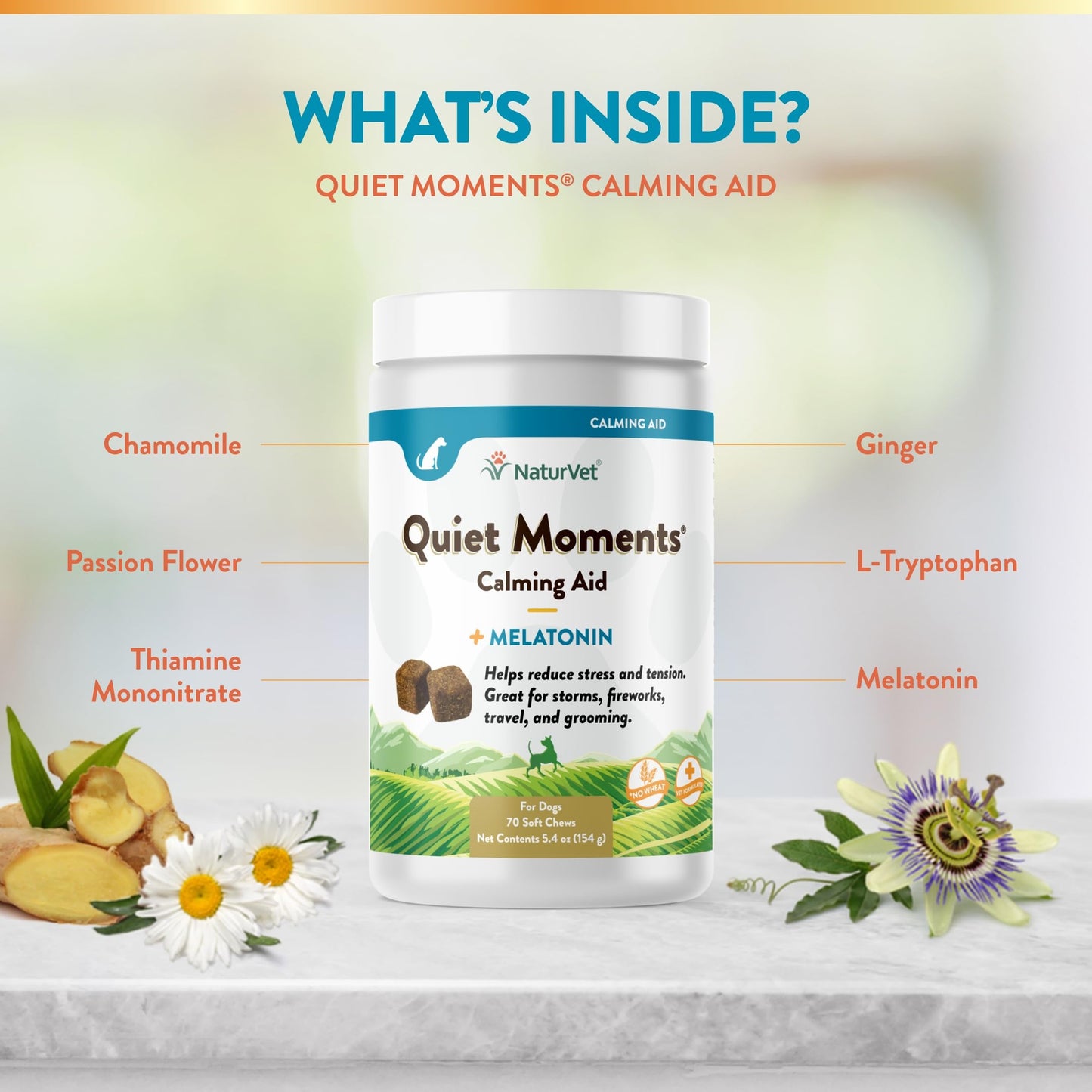 NaturVet Quiet Moments Calming Aid – Stress Support for Anxious Dogs