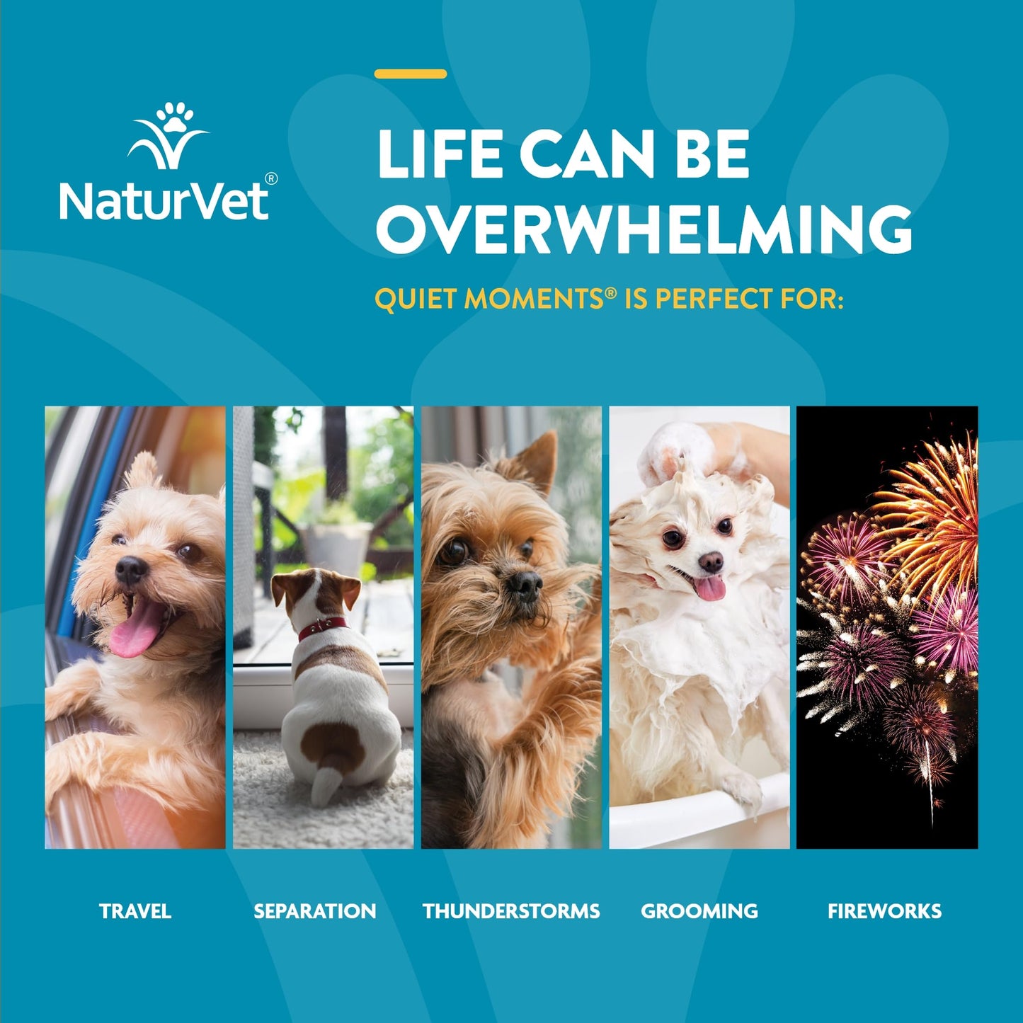 NaturVet Quiet Moments Calming Aid – Stress Support for Anxious Dogs