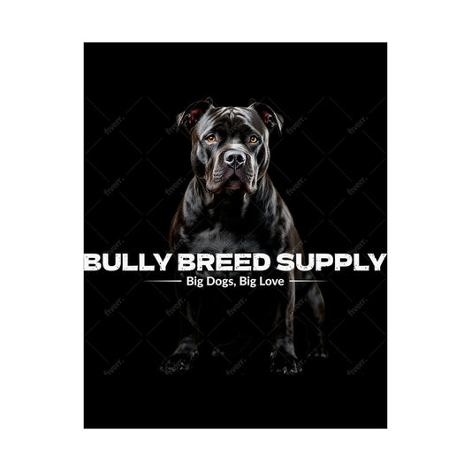 Satin Posters (210gsm)